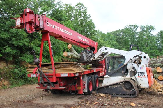 Chattanooga Tree Service crane and Bobcat skid steer loading logs at the yard