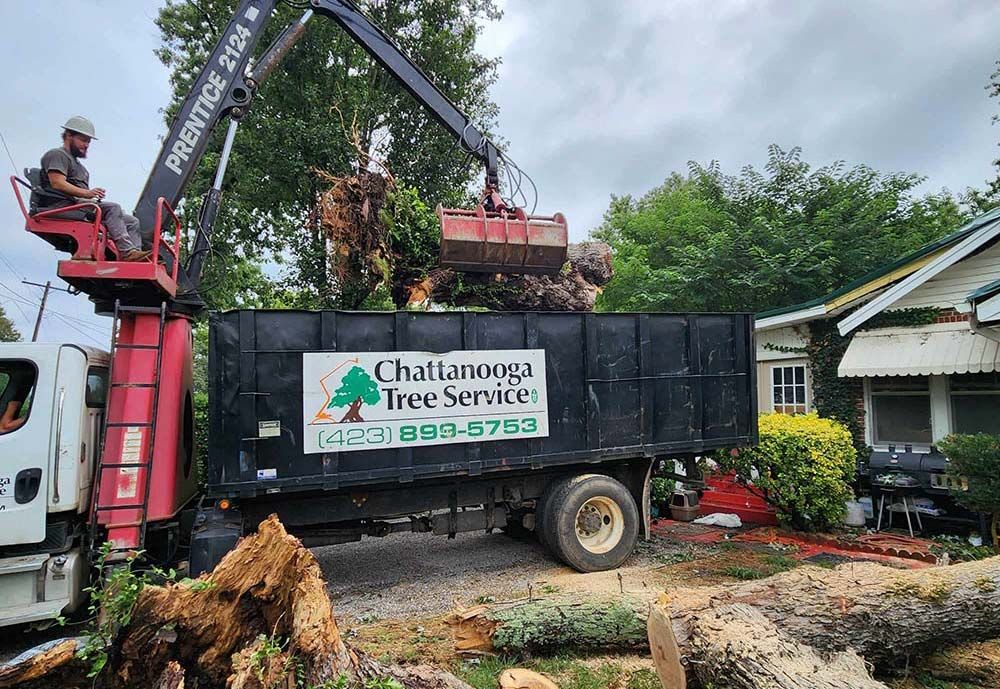 Chattanooga Tree Service grapple loader lifting a large stump into a branded dump truck